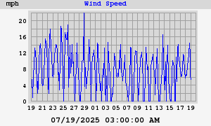 wind