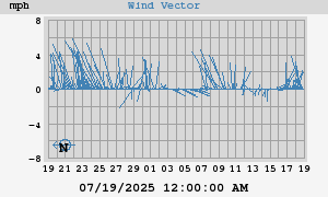 Wind Vector